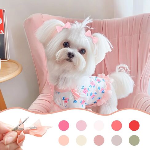 40PCS 2Inch Puppy Dog Hair Bows with Clips & Rubber Bands, Small Pet Grooming Hair Accessories, Cute Puppy Hair Clips for Small Dogs Cats, Mixed Colors in Kuwait