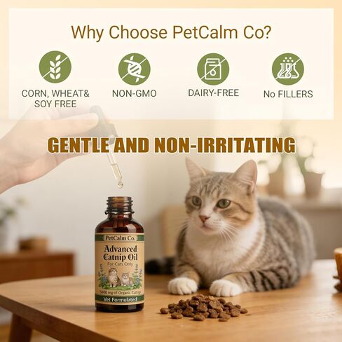 زيت النعناع البري المتطور من شركة PetCalm Co - مركب من قبل الأطباء البيطريين، للقطط فقط، مكمل لاسترخاء القطط (2.1 أونصة سائلة) in Kuwait