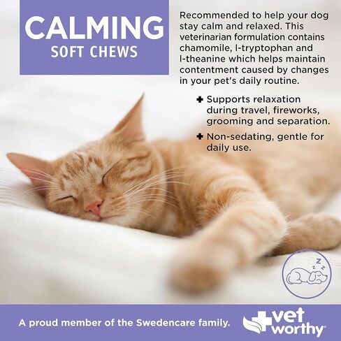 Vet Worthy Cat Calming Chews - Helps with Anti Aggression for Cats and Promotes Relaxation with L-Tryptophan & Chamomile - Aids in Cat Stress and Anxiety Relief During Travel & Fireworks - 60 ct in Kuwait