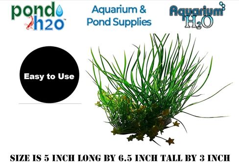 Spiky Green Foreground Artificial Fish Tank Plant 6.5 Inches Tall, Green with Yellow Flowers Aquarium Aquascaping Decoration, Tropical Fish Tank Ornament in Kuwait