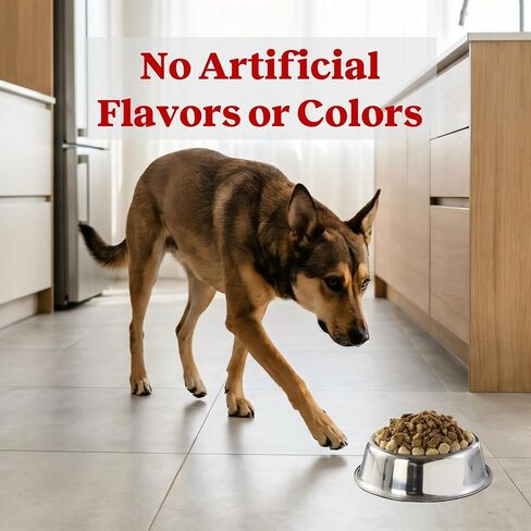 Newman's Own Meaty Mixed Grill Dry Dog Food Topper, 16 oz Pouch — Grain Free Meal Mixer for Picky Eaters, Wholesome Quality Ingredients, No Corn Wheat or Soy, Made in USA in Kuwait