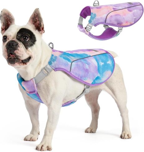 KYEESE Dog Cooling Vest, Breathable Mesh Dog Cooling Shirt for Small Dogs with D-Ring, Sun Protection Reflective Dogs Cooler Jacket with Adjustable Buckle for Summer Hiking Walking, Blue, M in Kuwait