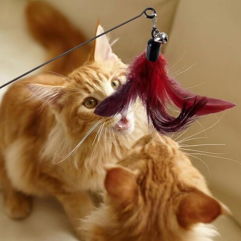 3-in-1 Cat Wand Toys,12Pcs Interactive Cat Feather Toys for Indoor Self Play & Exercise,2 Reusable Strong Suction Cups,2 Hanging Spider Toys for Kitten in Kuwait