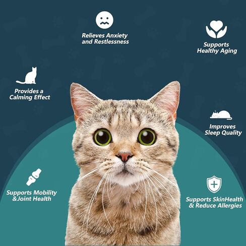 Cat Anxiety Relief Drops - Natural Stress Relief for Anxious Cats, Soothes Loud Noise & Separation Anxiety, Promotes Deep Sleep, Safe for All Breeds & Ages in Kuwait