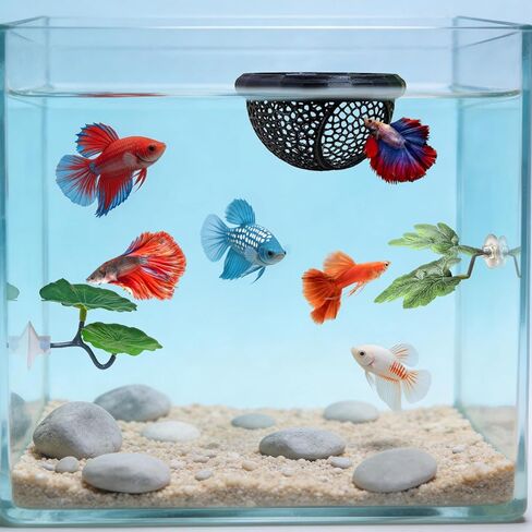 Floating Betta Hammock & Fish Toys Set,7Pcs Betta Fish Tank Accessories Mirror and Exercise Ring with Leaf Hammock Simulates Natural Habitat Comfortable Resting for Betta, Shrimp & Small Fish in Kuwait