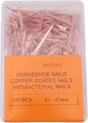 S Rustproof Equestrian Riding Equipment,47.5mm Horse Hoof Fixing Supplies with Storage Box Orseshoe Nails,Rustproof Horseshoe Nails,Pet Supplies,Riding Equipment,Horse Shoeing (45mm E3) in Saudi Arabia
