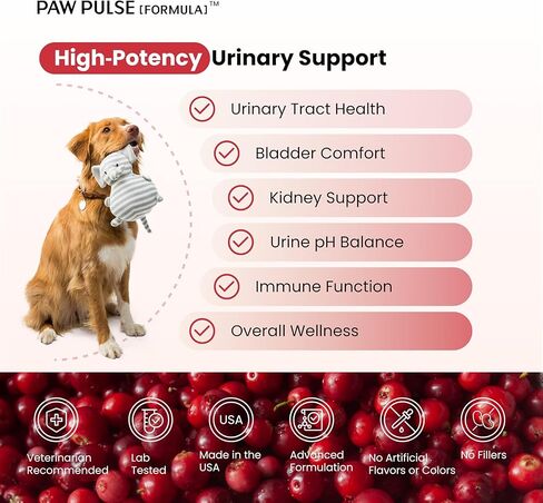 تركيبة Pawpulse التوت البري للكلاب، دعم المسالك البولية لصحة التهاب المسالك البولية، حصوات المثانة، سلس البول، تدفق البول، البروبيوتيك للأمعاء والمناعة، 90 قطعة مضغ in Kuwait