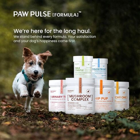 تركيبة Pawpulse التوت البري للكلاب، دعم المسالك البولية لصحة التهاب المسالك البولية، حصوات المثانة، سلس البول، تدفق البول، البروبيوتيك للأمعاء والمناعة، 90 قطعة مضغ in Kuwait