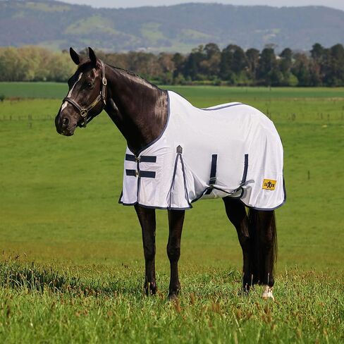 Saxon Mesh with Belly Wrap Fly Sheet, White/Navy, 75" in Kuwait
