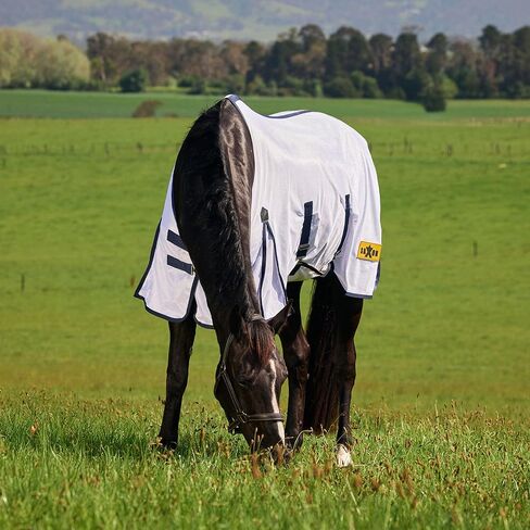Saxon Mesh with Belly Wrap Fly Sheet, White/Navy, 75" in Kuwait