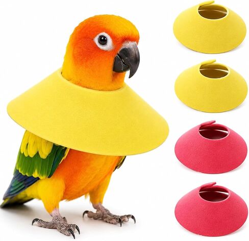4pcs Bird Cone Collar, Bird Elizabethan Collar for Wound Biting Prevention & Feather Plucking, Protective Recovery Cone for Cockatiel/Conure/Lovebird/Mini Macaw/Caique/Parrots in Kuwait