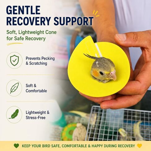 4pcs Bird Cone Collar, Bird Elizabethan Collar for Wound Biting Prevention & Feather Plucking, Protective Recovery Cone for Cockatiel/Conure/Lovebird/Mini Macaw/Caique/Parrots in Kuwait