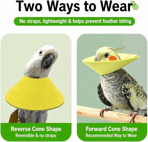 4pcs Bird Cone Collar, Bird Elizabethan Collar for Wound Biting Prevention & Feather Plucking, Protective Recovery Cone for Cockatiel/Conure/Lovebird/Mini Macaw/Caique/Parrots in Kuwait
