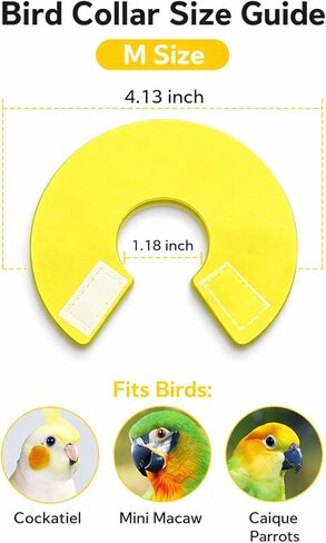 4pcs Bird Cone Collar, Bird Elizabethan Collar for Wound Biting Prevention & Feather Plucking, Protective Recovery Cone for Cockatiel/Conure/Lovebird/Mini Macaw/Caique/Parrots in Kuwait