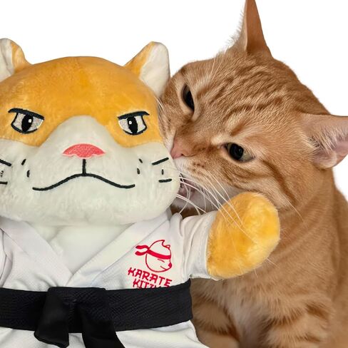 قفاز مصارعة القطط من KARATE KITTY ولعبة دمية مع أكمام ذراع واقية - لعبة ملاكمة تفاعلية للقطط للقطط الداخلية مع جيب النعناع البري وأذنين مجعدة in Kuwait