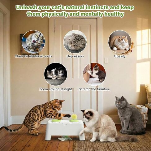 Magic House Interactive Cat Toy with 3 Modes, Rechargeable Whack-a-Mole Feather Toy for Indoor Cats, 4 Holes & 4 Accessories in Kuwait