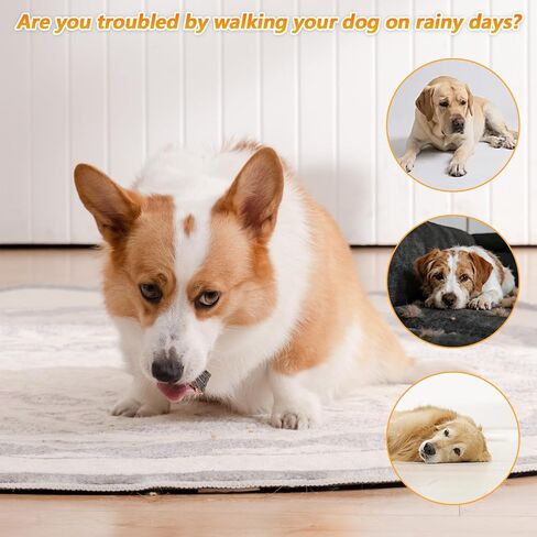 Dog Rain Poncho for Small Medium Dogs Clear Thick Waterproof Raincoat with Hidden Leash Hole Adjustable Double Buckle Windproof Pet Hooded Cape for Bichon Poodle (Large) in Kuwait