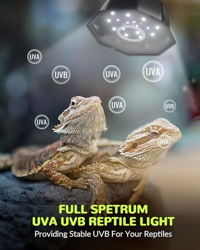 ضوء LED UVB للزواحف، UVB 5.0/10.0 ضوء الزواحف قابل للتعديل، مصباح الزواحف ذو السطوع القابل للتعديل مع مؤقت للغابات المطيرة والزواحف الصحراوية in Kuwait