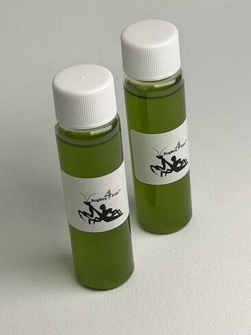 قارورتان (2) من المياه الخضراء الحية (Chlorella vulgaris) - العوالق النباتية الحية لاستقرار الكائنات الحية الدقيقة في حوض السمك، وإنتاج Infusora، والعوالق الحيوانية (Daphnia، Moina، إلخ.) الغذاء، والمزيد in Kuwait