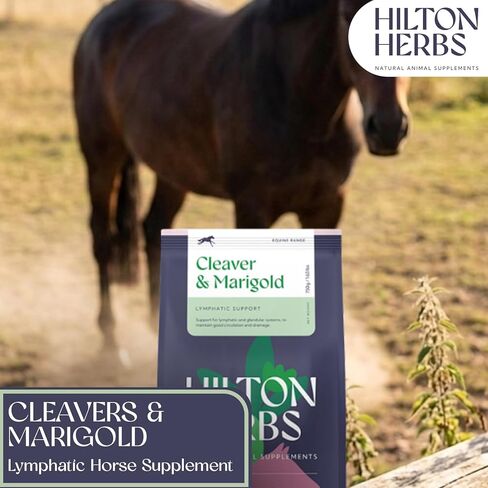 Hilton Herbs Cleavers & Marigold Lymphatic Support Horse Supplement, 1.65 lb Bag – Herbal Blend for Horses & Ponies, Supports Healthy Legs, Skin & Coat in Kuwait