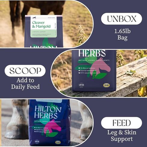Hilton Herbs Cleavers & Marigold Lymphatic Support Horse Supplement, 1.65 lb Bag – Herbal Blend for Horses & Ponies, Supports Healthy Legs, Skin & Coat in Kuwait