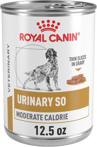 Royal Canin Veterinary Diet Canine Urinary SO Moderate Calorie Adult Thin Slices in Gravy Dog Food, 12.5 oz (Pack of 12) in Kuwait