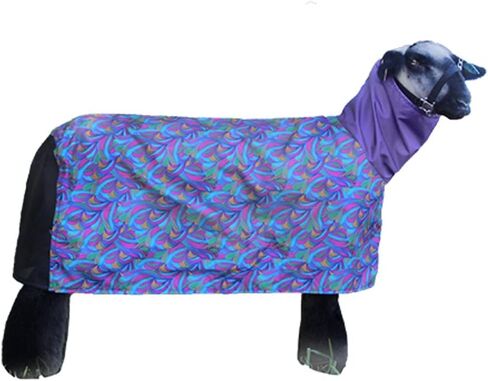 Sullivan Supply South Tough Tech Sheep Blanket Flare Medium Flare Medium in Kuwait