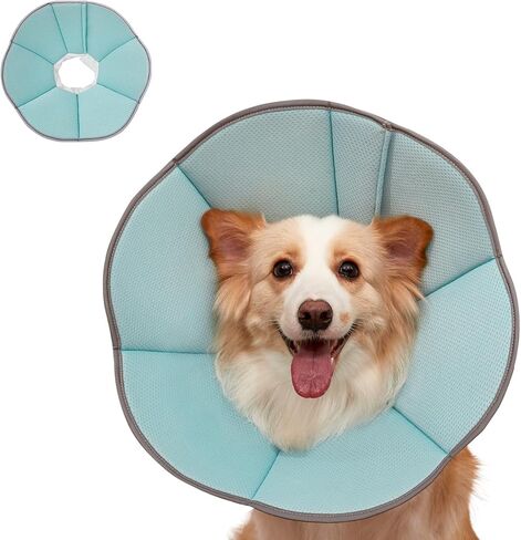MAXFUT Dog Cone Collar,Soft Cone for Dogs to Stop Licking After Surgery,Non Inflatable Dog Donut Cone (Blue, XXL) in Kuwait