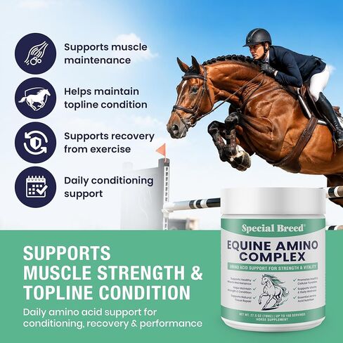 150-Day Supply Horse Amino Acid Supplement - Equine Amino Complex for Muscle, Topline & Recovery Support - Supports Strength, Tissue Repair & Vitality - Daily Horse Supplement Powder in Kuwait