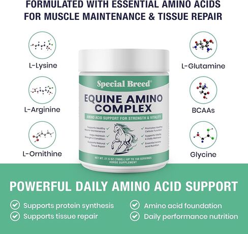 150-Day Supply Horse Amino Acid Supplement - Equine Amino Complex for Muscle, Topline & Recovery Support - Supports Strength, Tissue Repair & Vitality - Daily Horse Supplement Powder in Kuwait