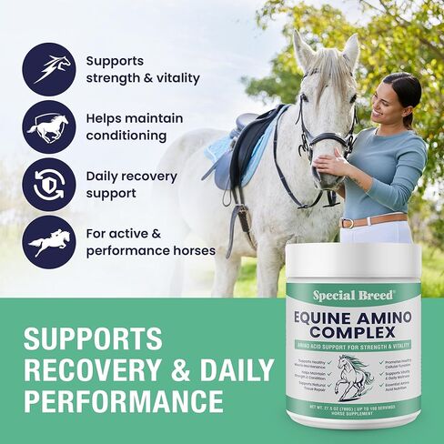 150-Day Supply Horse Amino Acid Supplement - Equine Amino Complex for Muscle, Topline & Recovery Support - Supports Strength, Tissue Repair & Vitality - Daily Horse Supplement Powder in Kuwait