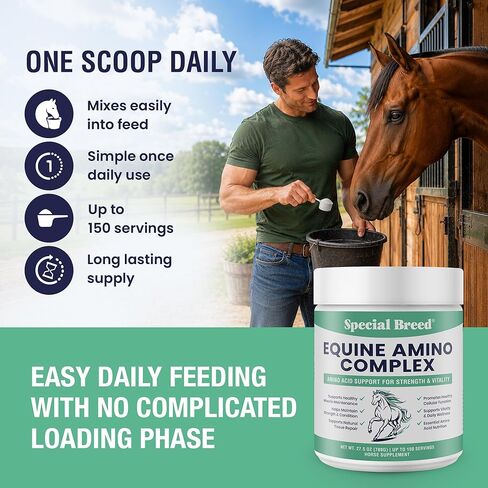 150-Day Supply Horse Amino Acid Supplement - Equine Amino Complex for Muscle, Topline & Recovery Support - Supports Strength, Tissue Repair & Vitality - Daily Horse Supplement Powder in Kuwait