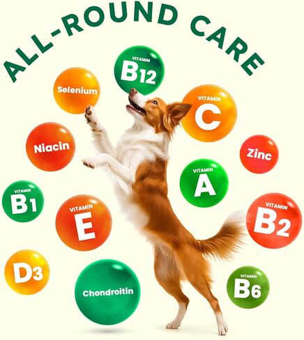 ZENO Dog Vitamins and Supplements - 150 Dog Multivitamin Chewable - Immune, Joint Support, Skin, Gut Health + Packed with Omega 3s, Glucosamine & Probiotics - Safe for Puppy - Chicken in Saudi Arabia