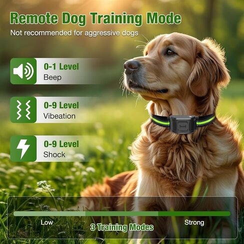 Wireless Dog Fence 2.4GHz Electric Fence for Dogs Wireless Fence for Dogs Portable Electric Dog Fence with Waterproof and Rechargeable Dog Training Collar in Saudi Arabia