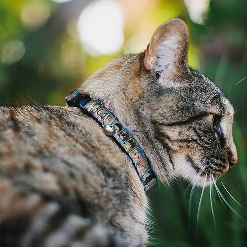 Crunchyroll Cat Collar, Breakaway Collar with Bell, Ouran Host Club Seven Character Beach Day Pose Blocks, 8.5 to 12 Inches 0.5 Inch Wide in Kuwait