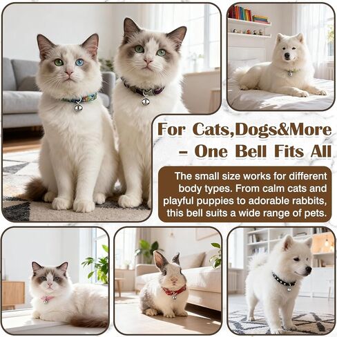 6-Pack Metal Pet Collar Bells – Small Silver Charm Pendants for Dogs, Cats & Other Pets in Kuwait