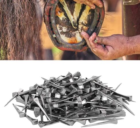 Horseshoe Nails Steel E3 Sport Equipment for Horse 250pcs, for Equestrian, 4.5cm in Kuwait