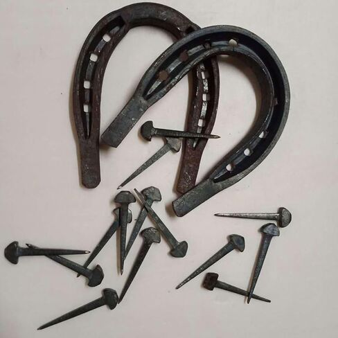 Cabilock 50pcs Iron Horseshoe Nails for Horse Tack Hoof Fixing Sturdy Stable Horseshoe Repair Tools for Farrier Supplies and Equine Hoof Maintenance in Kuwait