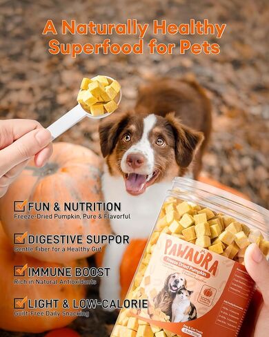 3.5 oz Freeze-Dried Pumpkin Treats for Dogs & Cats – Organic, Single-Ingredient, High Fiber Snacks for Digestion, Gut Health & Training, Healthy Food Toppers, in Kuwait