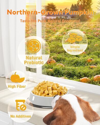 3.5 oz Freeze-Dried Pumpkin Treats for Dogs & Cats – Organic, Single-Ingredient, High Fiber Snacks for Digestion, Gut Health & Training, Healthy Food Toppers, in Kuwait