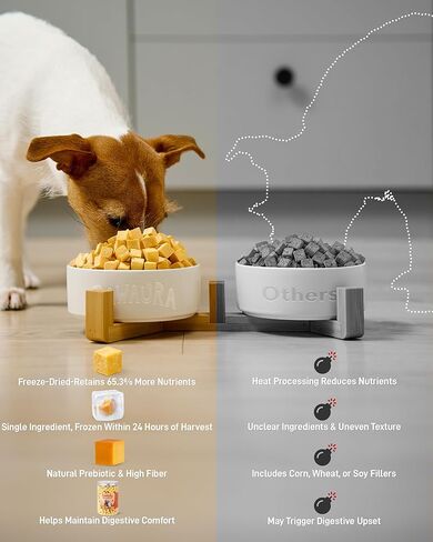 3.5 oz Freeze-Dried Pumpkin Treats for Dogs & Cats – Organic, Single-Ingredient, High Fiber Snacks for Digestion, Gut Health & Training, Healthy Food Toppers, in Kuwait