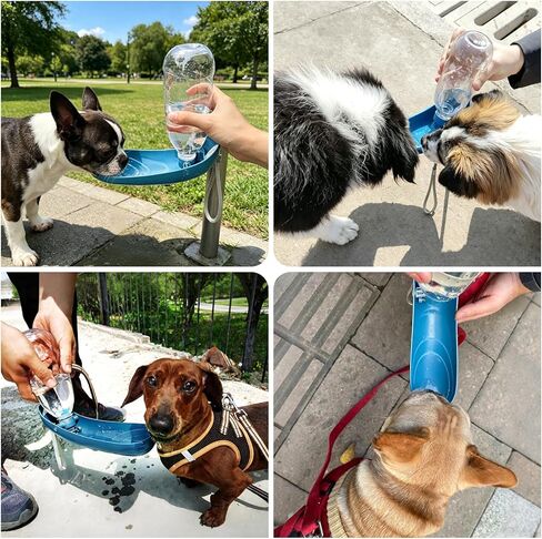 Dog Water Bottle, 550ML Large Capacity Leak-Proof Portable Pet Water Dispenser with Carrying Lanyard, Ideal for Outdoor Walking Hiking Travel in Kuwait