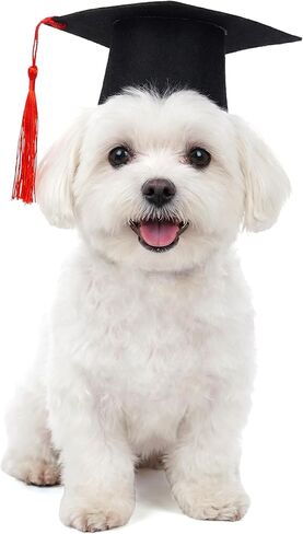 Dog Graduation Cap with Red Tassel, Dog Graduation Outfit, Pet Graduation Cap Hat for Puppies Cats in Kuwait