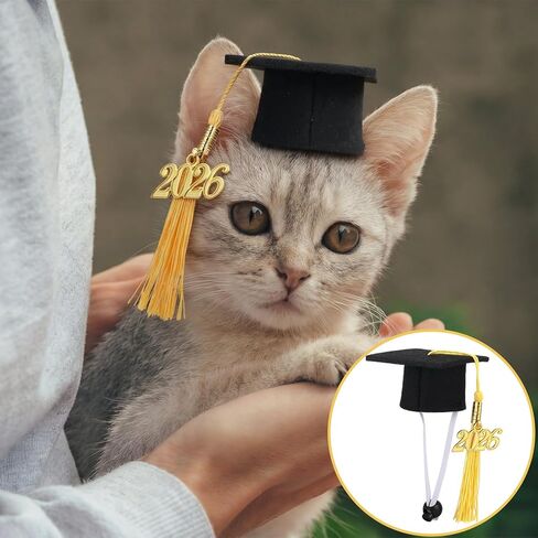 6 Pcs Mini Graduation Caps for Dog Cat Small Pet Grad Hat Yellow Bachelor Hat with Tassel Charm Pendant Graduation Photo Props for Small Animal Dogs Cats Puppy Hamster Guinea Pig Costume Accessory in Kuwait
