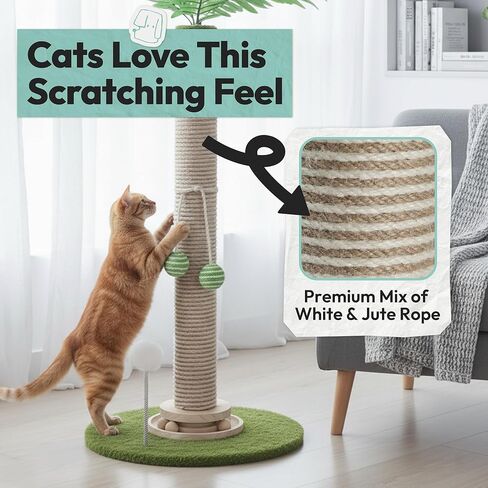 Cat Scratching Post 34 Inch with Rotating Turntable and Removable Hanging Ball, Cat Scratcher for Indoor Cats, Ultra Stable Base, Paw-FGreen Baseriendly Jute Material, Green Base in Kuwait
