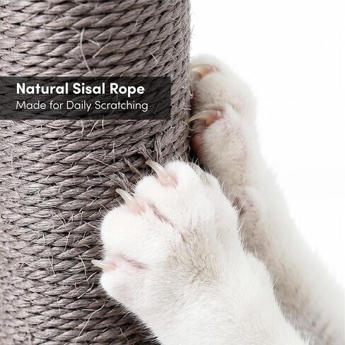 xympo 32" Sisal Scratching Post in Kuwait