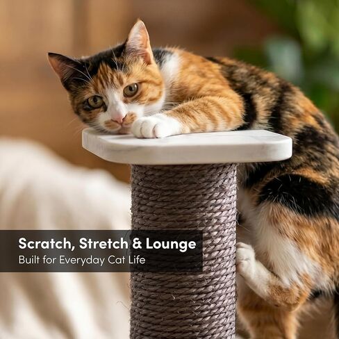 xympo 32" Sisal Scratching Post in Kuwait
