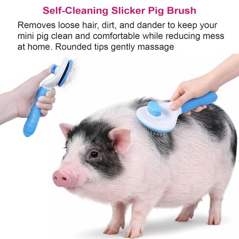 3Pcs Pig Enrichment & Grooming Brush Set for Mini Pigs, Soft Silicone Pig Brush for Shedding & Massage, Pig Grooming Glove + Self Cleaning Slicker Brush for Loose Hair, Bath & Daily Pig Care in Kuwait