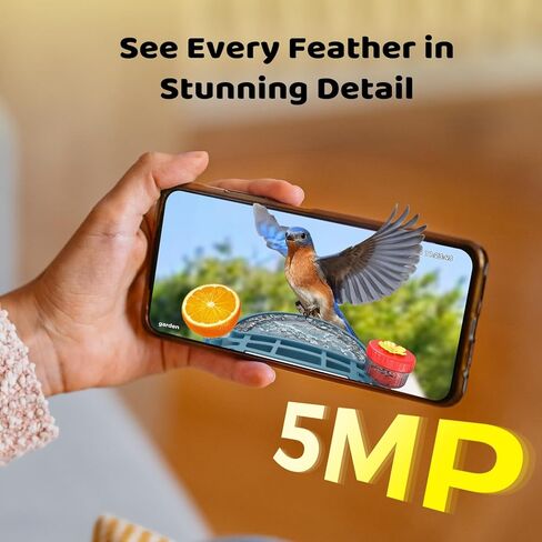 Bird Feeder with Camera 5MP Live Video, Solar Powered Smart AI Identify Birds Species, 2.4Ghz WiFi Camera Bird Feeder with Squirrel-Proof, Instant Arrival Alerts, Ideal Gifts for Bird Lovers in Kuwait