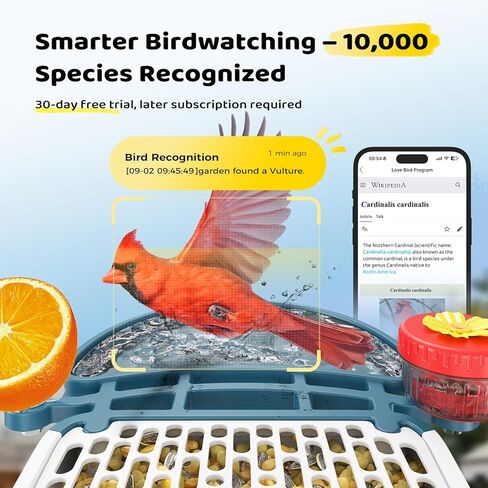 Bird Feeder with Camera 5MP Live Video, Solar Powered Smart AI Identify Birds Species, 2.4Ghz WiFi Camera Bird Feeder with Squirrel-Proof, Instant Arrival Alerts, Ideal Gifts for Bird Lovers in Kuwait